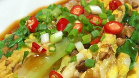 不是涼皮不是腸粉也不是河粉 電白特產粉皮